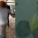 ‘Foi ele que começou a me alisar’, justifica ‘B0ga Nervoso’ ao ser pr3s0 por ter relaçã0 com cão em PF; veja