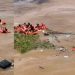 Bombeiros encerram buscas por desaparecidos após cinco meses do naufrágio no Encontro das Águas
