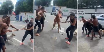Vídeo: mulher, vulgo “buchudo” e até cachorro vão pra p0rrada em Manaus
