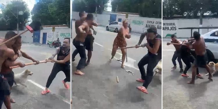 Vídeo: mulher, vulgo “buchudo” e até cachorro vão pra p0rrada em Manaus