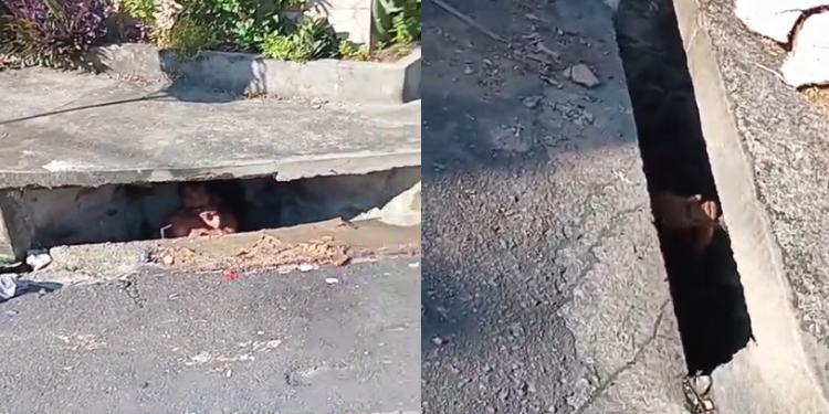 Vídeo: Homem em aparente surt0 psicótic0 desaparece em bueiro e causa ca0s em Manaus
