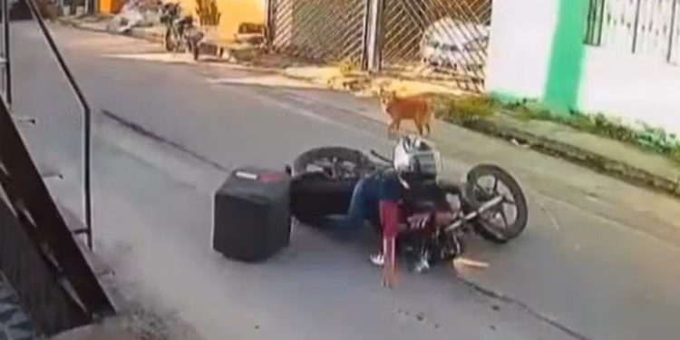 Buraqueira da Águas de Manaus faz motociclista se fer1r e concessionária leva multa de R$ 279 mil