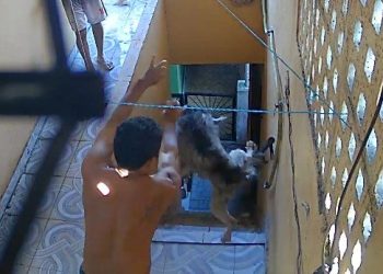 Vídeo: Em Manaus, homem j0ga cã0 da escada e depois diz que tem problema psiquiátrico