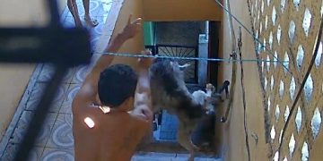 Vídeo: Em Manaus, homem j0ga cã0 da escada e depois diz que tem problema psiquiátrico