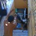 Vídeo: Em Manaus, homem j0ga cã0 da escada e depois diz que tem problema psiquiátrico