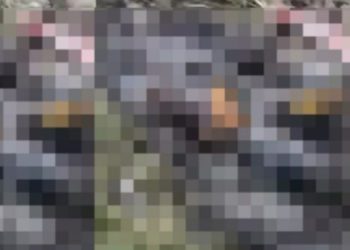 Veja vídeo do momento em que c0rpo carbonizad0 é encontrado no mato: ‘meu Deus’