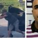 Carro de homem que r0ubou e espanc0u idoso no banco é encontrado sem ele em Manaus 