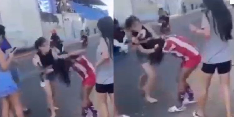 Vídeo: meninas de 15 anos entram em p0rrada para ficar com menino da escola no Amazonas