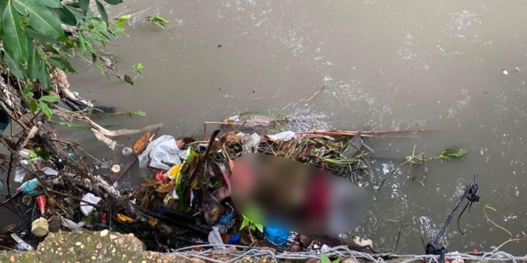 Vídeo: Causa da m0rt3 de mulher encontrada em igarapé é revelada em Manaus