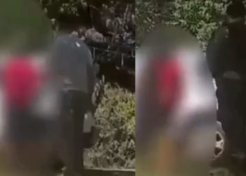 Veja vídeo da prisão do avô suspeit0 de e$tupr0 das quatro netas e da filha em Manaus