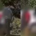 Veja vídeo da prisão do avô suspeit0 de e$tupr0 das quatro netas e da filha em Manaus