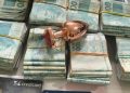 Plug an@l encontrado com agi0tas alvo de operação da polícia gera comentários em Manaus