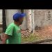 Vídeo: vizinhos aparecem brigand0 ao vivo durante o Balanço Geral em Manaus