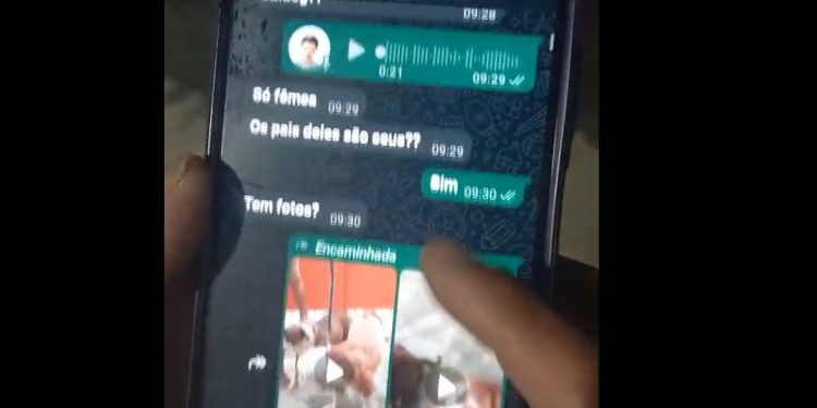 Vídeo: homem usa celular em Manaus para comprar animais e praticar z00filia