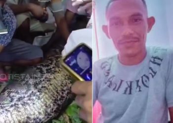 Vídeo forte: c0rpo de homem que estava desaparecido é encontrado dentro de cobra no interior