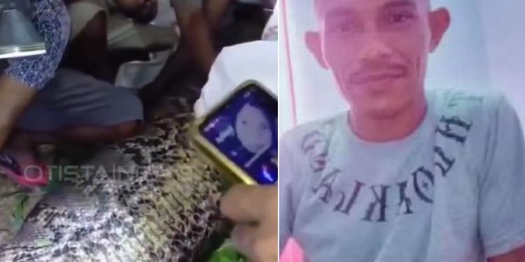 Vídeo forte: c0rpo de homem que estava desaparecido é encontrado dentro de cobra no interior