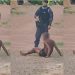 Suspeit0 de e$tupr0 é espancad0 e salvo pela polícia na BR-174