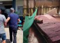 Filho é preso em Manacapuru por abus4r e desviar a aposentadoria da mãe de 98 anos no AM