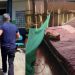 Filho é preso em Manacapuru por abus4r e desviar a aposentadoria da mãe de 98 anos no AM