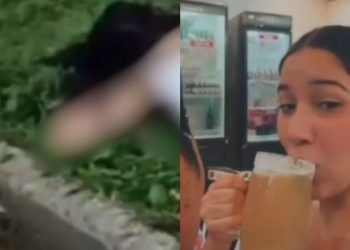 Veja: Jovem compartilhou momento em adega antes de morrer em acidente de motocicleta
