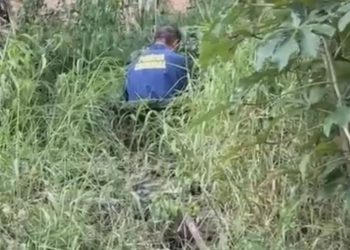 Fet0 é achado com marcas de s4ngue em terreno baldio de Manaus