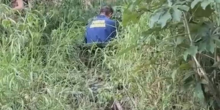 Fet0 é achado com marcas de s4ngue em terreno baldio de Manaus