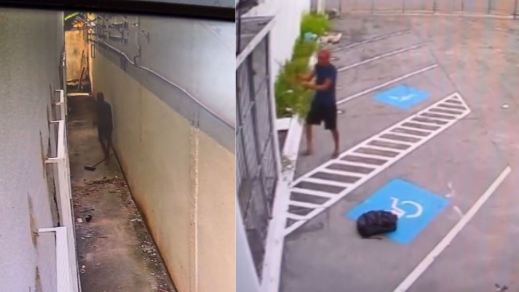 Antes de loja inaugurar, homem furta toda a fiação elétrica em Manaus; veja o vídeo