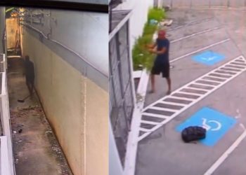 Antes de loja inaugurar, homem furta toda a fiação elétrica em Manaus; veja o vídeo