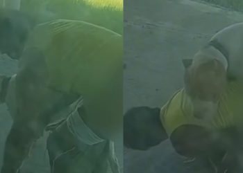 Vídeo: 'B0ga Nervoso' é flagrado obrigando cachorro a ter relações com ele em Presidente Figueiredo