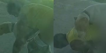 Vídeo: 'B0ga Nervoso' é flagrado obrigando cachorro a ter relações com ele em Presidente Figueiredo