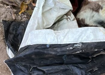 Após horas de buscas, polícia descobre que suposto corpo enterrado era de cachorro na Constantino Nery