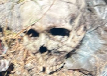 Crânio humano é encontrado no meio do lixo em área de Manaus