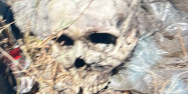 Crânio humano é encontrado no meio do lixo em área de Manaus