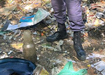 Em Manaus, pote com suposto fet0 assusta moradores, mas polícia faz descoberta inesperada
