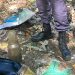 Em Manaus, pote com suposto fet0 assusta moradores, mas polícia faz descoberta inesperada
