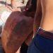 Vídeo: Assaltante é cercado e agredido por moradores na Zona Leste
