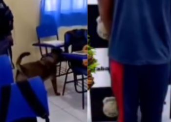 Estudante é levado à delegacia após dr0g4s serem encontradas em sua mochila no AM