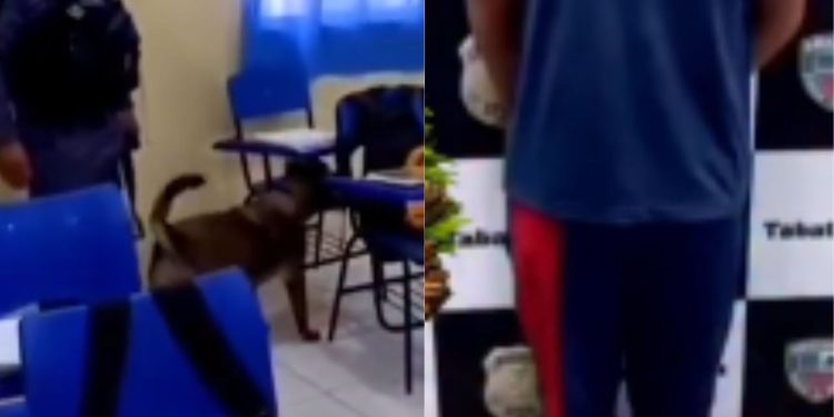 Estudante é levado à delegacia após dr0g4s serem encontradas em sua mochila no AM