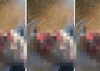Imagem forte: homem é encontrado m0rto com rosto devorad0 em rio do Amazonas