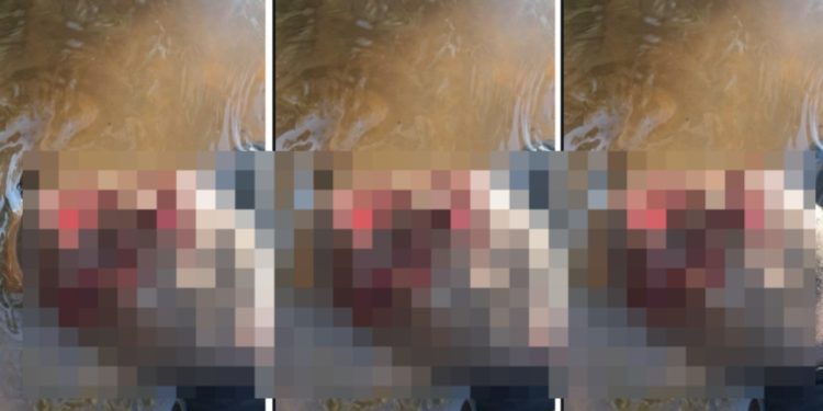 Imagem forte: homem é encontrado m0rto com rosto devorad0 em rio do Amazonas