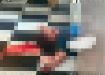 Secretaria de Saúde confirma que mulher dona da casa onde três foram m0rtos em Manaus está viva 