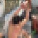 Vídeo: suspeito de r0ub0s ch0ra de d0r após levar p0rrada na Constantino Nery