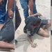 Vídeo: suspeito de furt0s pede clemência na mão do povo em Manaus: ‘por Jesus’
