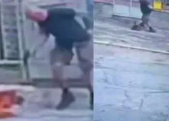 Vídeo: Homem s4c4 arma e m4t4 cachorro após animal se aproximar dele durante passeio