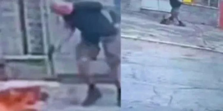 Vídeo: Homem s4c4 arma e m4t4 cachorro após animal se aproximar dele durante passeio