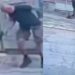 Vídeo: Homem s4c4 arma e m4t4 cachorro após animal se aproximar dele durante passeio