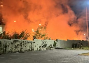 Incêndio se espalha por mata e fica próximo a postos de combustíveis em Manaus