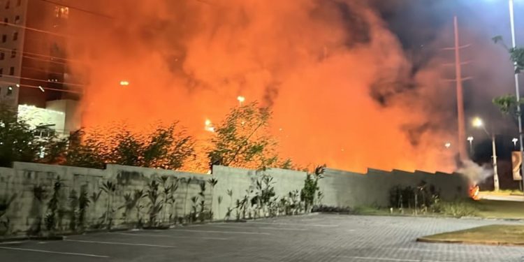Incêndio se espalha por mata e fica próximo a postos de combustíveis em Manaus