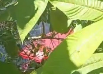 Vídeo: banhista m0rre afogado durante passeio no flutuante em Manaus