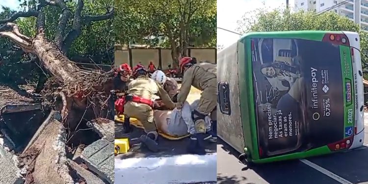 Vídeo: passageira diz que motorista do 221 que cap0tou em Manaus ‘estava muito cansado’ 